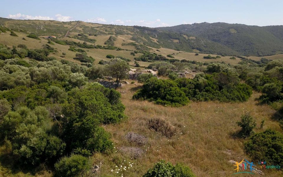 Lapponi: 1 Ha Plot for Sale Near the Sea, building Permission, 6 Km from the Rena Maiore Beach, Northen Sardinia