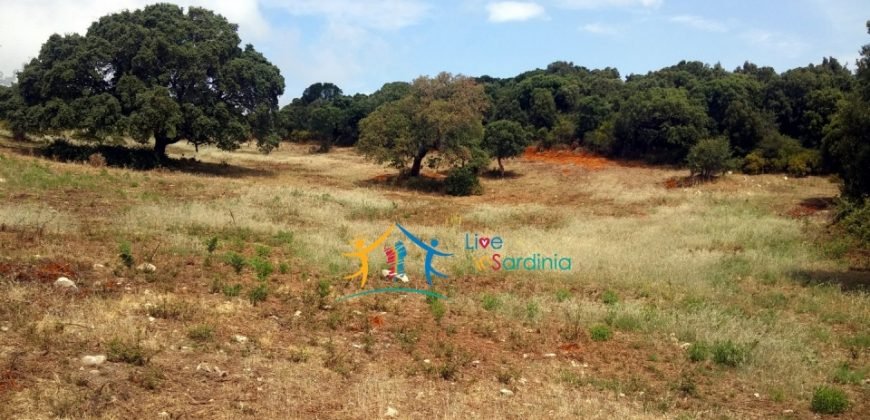 Restoration Project:9ha Land and 86 M2 Stazzo for Sale in Luogosanto, 23 Km from the Sea, North Sardinia