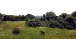 Lapponi: 1 Ha Plot for Sale Near the Sea, building Permission, 6 Km from the Rena Maiore Beach, Northen Sardinia