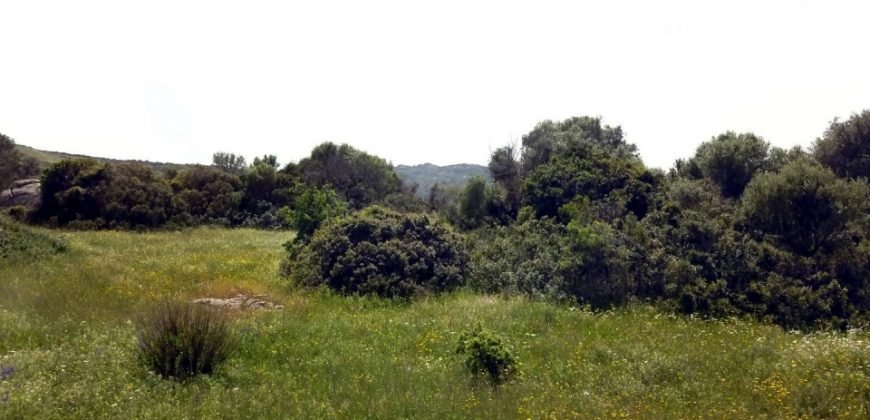 Lapponi: 1 Ha Plot for Sale Near the Sea, building Permission, 6 Km from the Rena Maiore Beach, Northen Sardinia