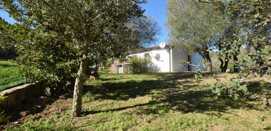 Refurbished 100 M2 Rural Home and Land for Sale 15 Km from Olbia, N.e. Sardinia