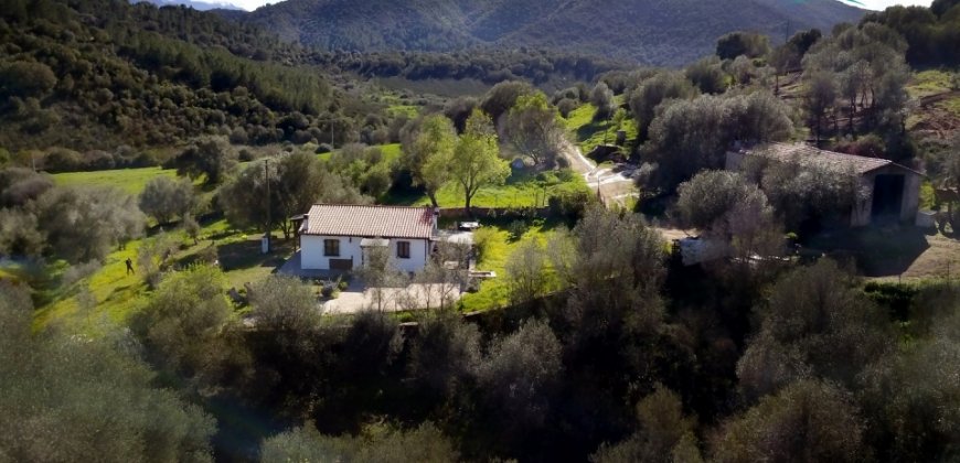 Refurbished 100 M2 Rural Home and Land for Sale 15 Km from Olbia, N.e. Sardinia