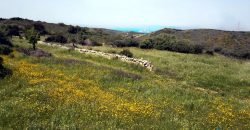 Lapponi: 1.4 Ha Plot for Sale Near the Sea, building Permission, 6 Km from the Rena Maiore Beach, Northen Sardinia