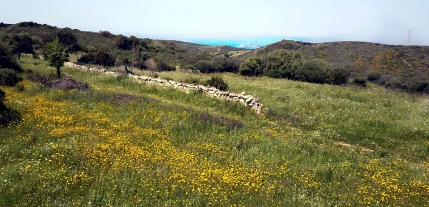 Lapponi: 1 Ha Plot for Sale Near the Sea, building Permission, 6 Km from the Rena Maiore Beach, Northen Sardinia