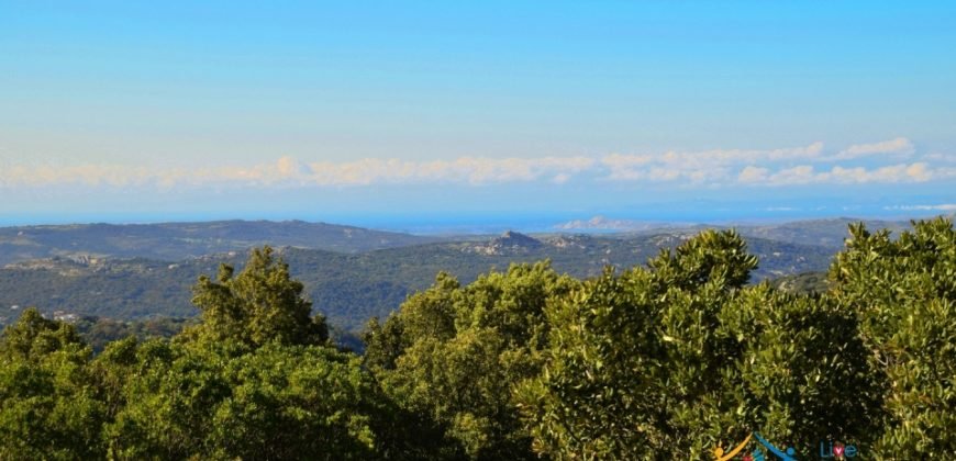 Sardinian Style Villa With Land for Sale in Luogosanto, North East Sardinia