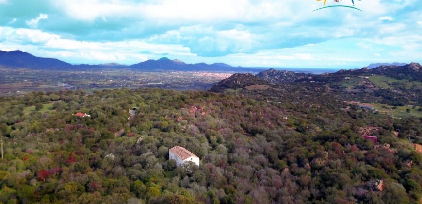 Superb Unfinished Rural Villas With 3,4 Ha for Sale Near Olbia, North Sardinia