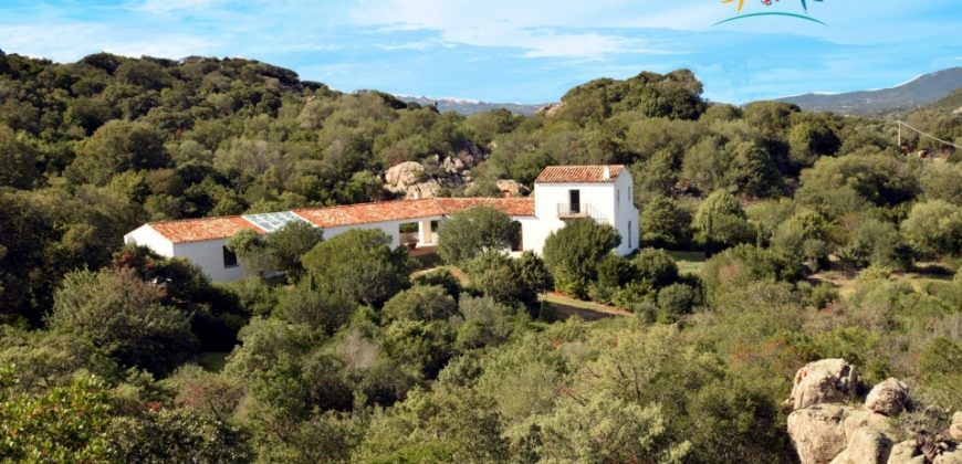 Superb Unfinished Rural Villas With 3,4 Ha for Sale Near Olbia, North Sardinia