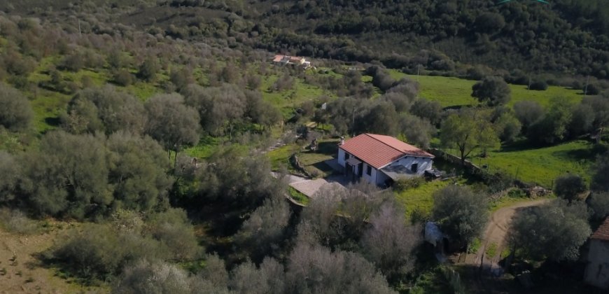 Refurbished 100 M2 Rural Home and Land for Sale 15 Km from Olbia, N.e. Sardinia