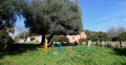 Attractive 3 Ha Land and 60 M2 Farmhouse for Sale in Li Casareddi Near Porto Cervo, North East Sardinia