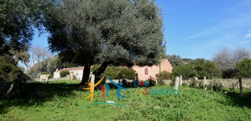 Attractive 3 Ha Land and 60 M2 Farmhouse for Sale in Li Casareddi Near Porto Cervo, North East Sardinia