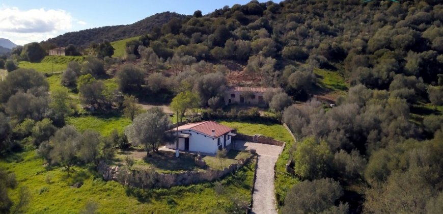 Refurbished 100 M2 Rural Home and Land for Sale 15 Km from Olbia, N.e. Sardinia