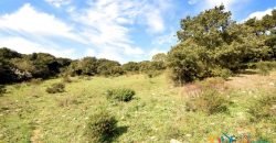 Restoration Project:9ha Land and 86 M2 Stazzo for Sale in Luogosanto, 23 Km from the Sea, North Sardinia