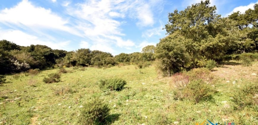 Restoration Project:9ha Land and 86 M2 Stazzo for Sale in Luogosanto, 23 Km from the Sea, North Sardinia