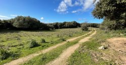 Traditional Farmhouse for Sale in Telti, Near Olbia, North Sardinia