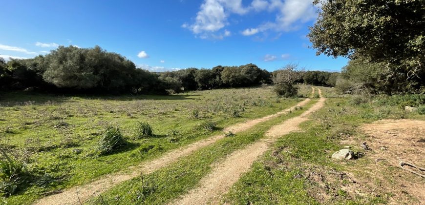 Traditional Farmhouse for Sale in Telti, Near Olbia, North Sardinia