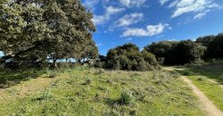 Traditional Farmhouse for Sale in Telti, Near Olbia, North Sardinia