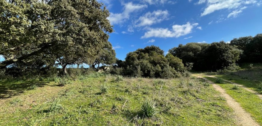 Traditional Farmhouse for Sale in Telti, Near Olbia, North Sardinia