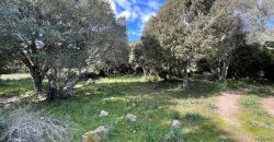 Traditional Farmhouse for Sale in Telti, Near Olbia, North Sardinia