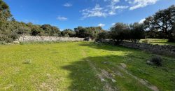 Traditional Farmhouse for Sale in Telti, Near Olbia, North Sardinia