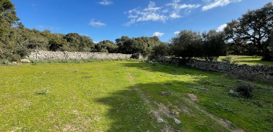 Traditional Farmhouse for Sale in Telti, Near Olbia, North Sardinia