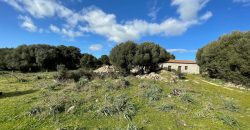 Traditional Farmhouse for Sale in Telti, Near Olbia, North Sardinia