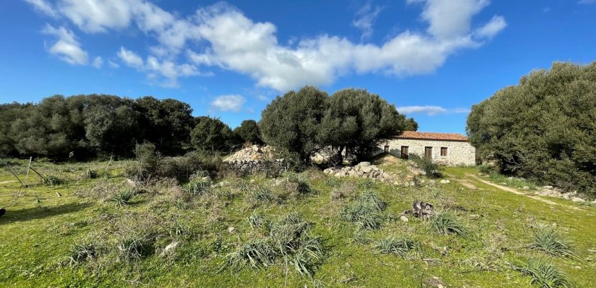 Traditional Farmhouse for Sale in Telti, Near Olbia, North Sardinia