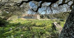 Traditional Farmhouse for Sale in Telti, Near Olbia, North Sardinia