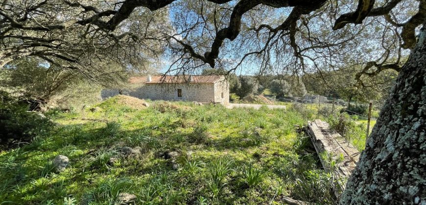 Traditional Farmhouse for Sale in Telti, Near Olbia, North Sardinia