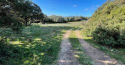 Traditional Farmhouse for Sale in Telti, Near Olbia, North Sardinia