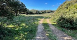 Traditional Farmhouse for Sale in Telti, Near Olbia, North Sardinia