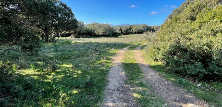 Traditional Farmhouse for Sale in Telti, Near Olbia, North Sardinia