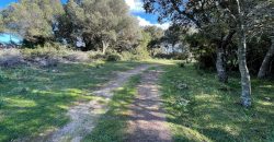 Traditional Farmhouse for Sale in Telti, Near Olbia, North Sardinia