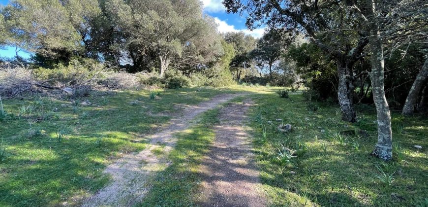 Traditional Farmhouse for Sale in Telti, Near Olbia, North Sardinia