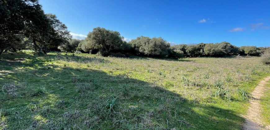 Traditional Farmhouse for Sale in Telti, Near Olbia, North Sardinia