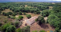 Traditional Farmhouse for Sale in Telti, Near Olbia, North Sardinia