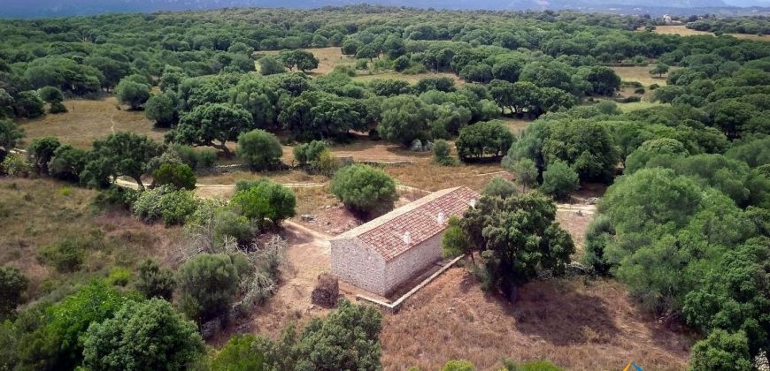 Traditional Farmhouse for Sale in Telti, Near Olbia, North Sardinia