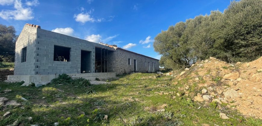 Traditional Farmhouse for Sale in Telti, Near Olbia, North Sardinia