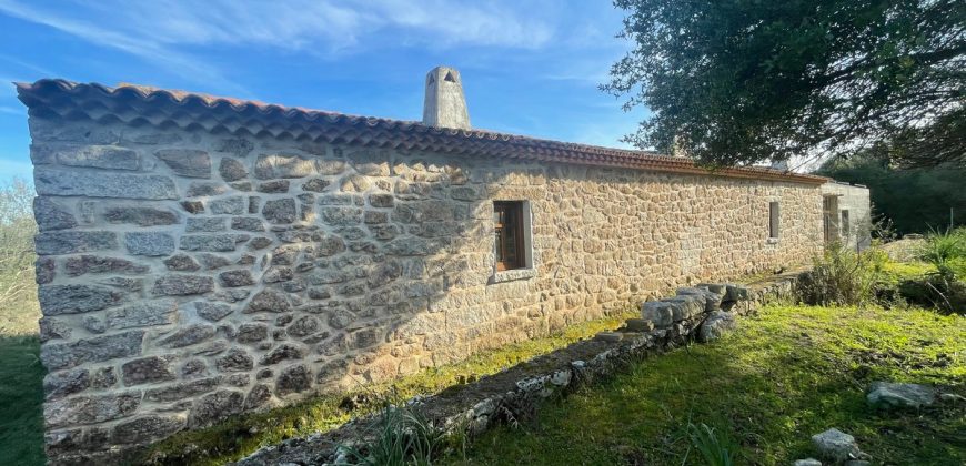 Traditional Farmhouse for Sale in Telti, Near Olbia, North Sardinia