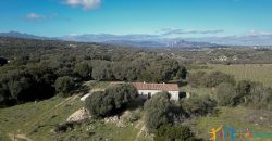 Traditional Farmhouse for Sale in Telti, Near Olbia, North Sardinia