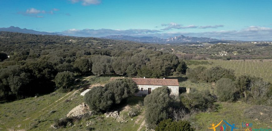 Traditional Farmhouse for Sale in Telti, Near Olbia, North Sardinia