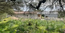 Traditional Farmhouse for Sale in Telti, Near Olbia, North Sardinia