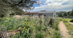 Traditional Farmhouse for Sale in Telti, Near Olbia, North Sardinia