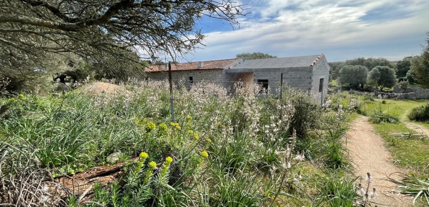 Traditional Farmhouse for Sale in Telti, Near Olbia, North Sardinia