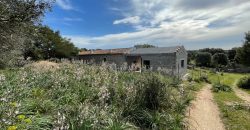 Traditional Farmhouse for Sale in Telti, Near Olbia, North Sardinia