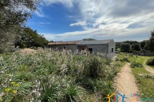 Traditional Farmhouse for Sale in Telti, Near Olbia, North Sardinia