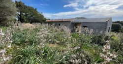 Traditional Farmhouse for Sale in Telti, Near Olbia, North Sardinia