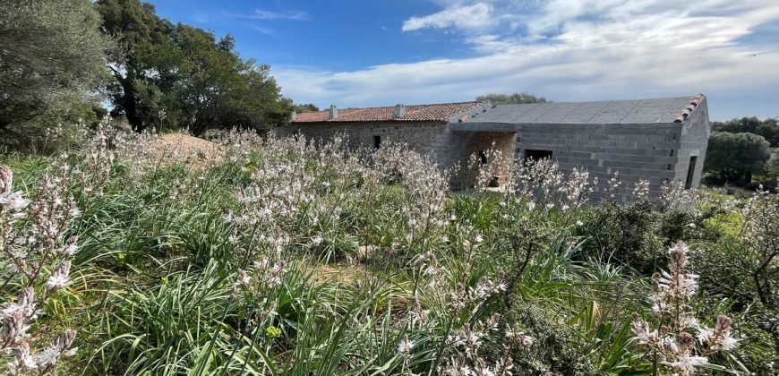 Traditional Farmhouse for Sale in Telti, Near Olbia, North Sardinia