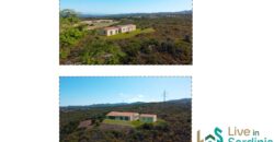 Land For Sale Aglientu, 6 Km From Rena Maiore Ref Bonif