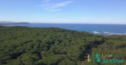Land For Sale Aglientu, 6 Km From Rena Maiore Ref Bonif