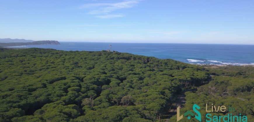 Land For Sale Aglientu, 6 Km From Rena Maiore Ref Bonif